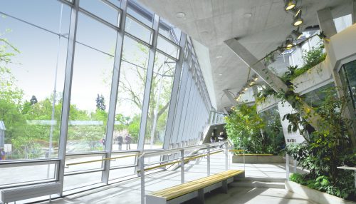 Menschenaffenhaus Wilhelma Stuttgart