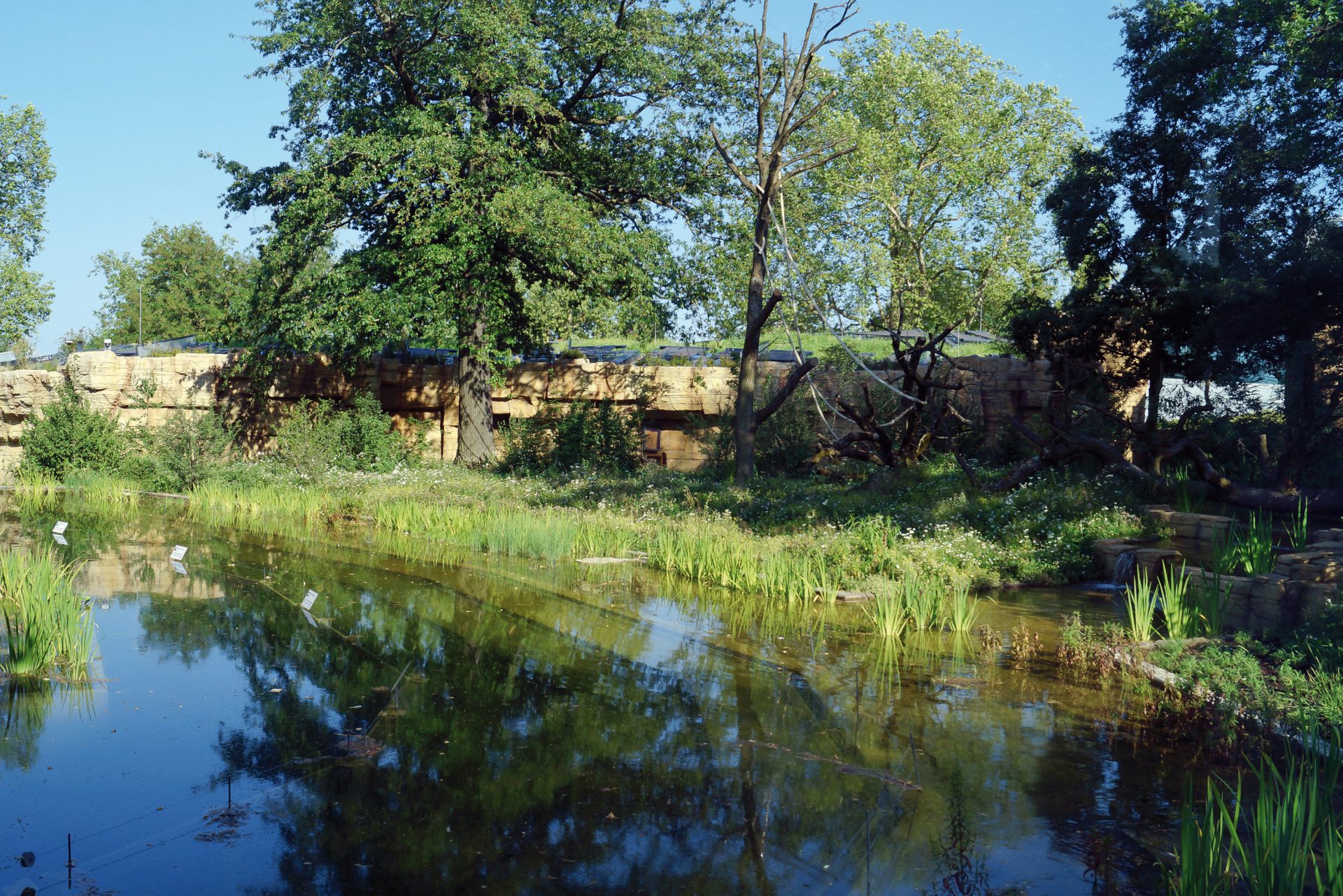 Menschenaffenhaus Wilhelma Stuttgart