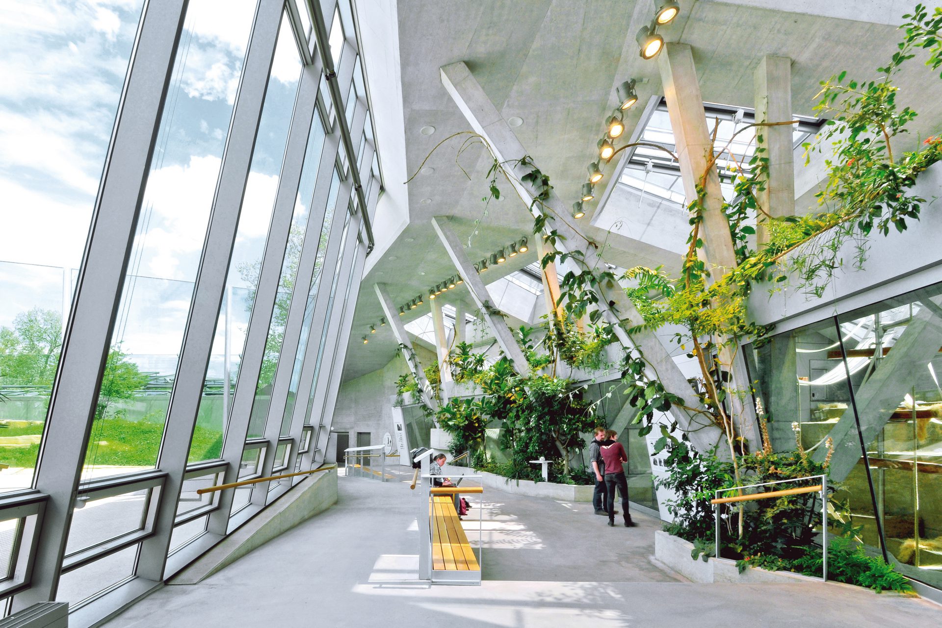 Menschenaffenhaus Wilhelma Stuttgart