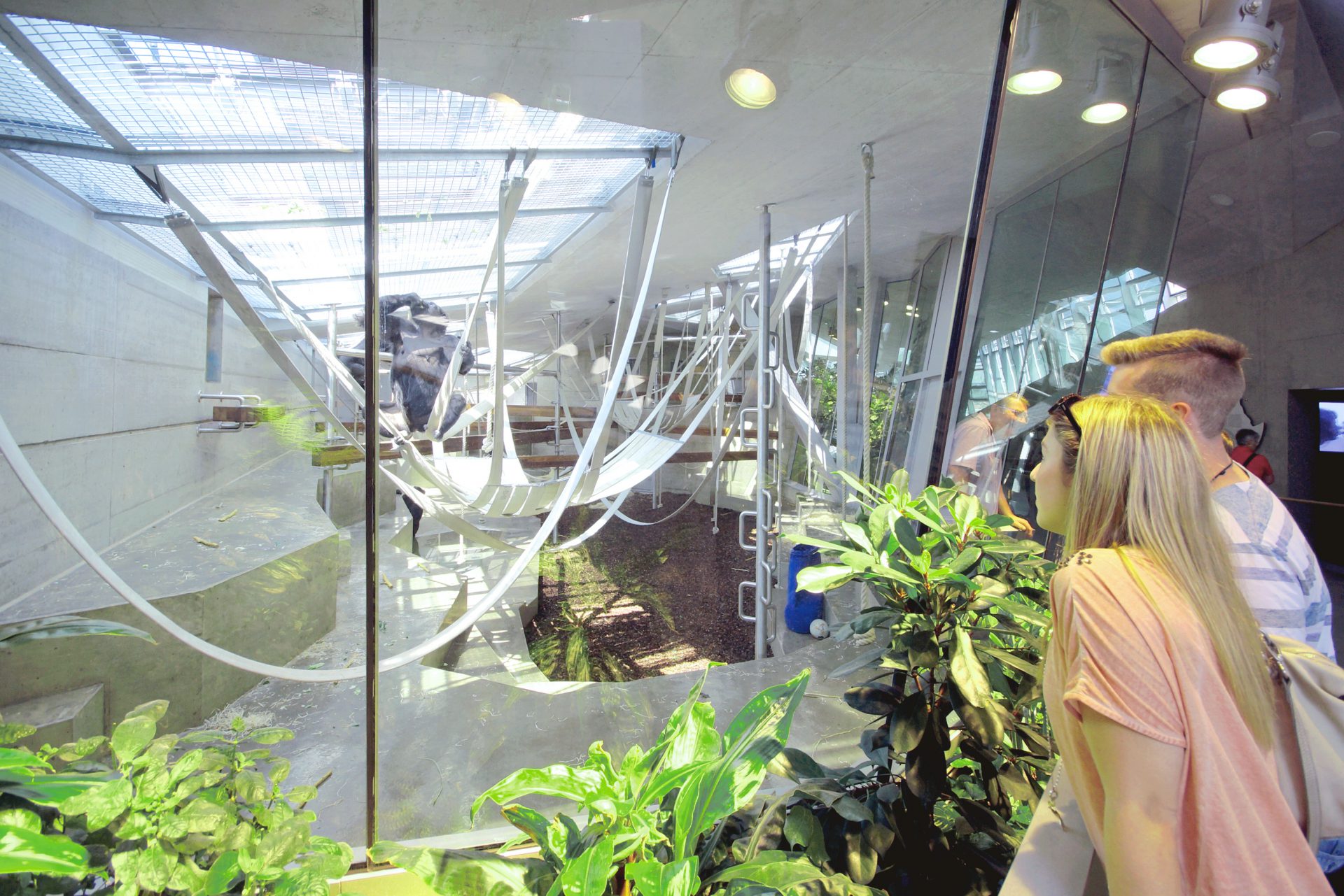 Menschenaffenhaus Wilhelma Stuttgart