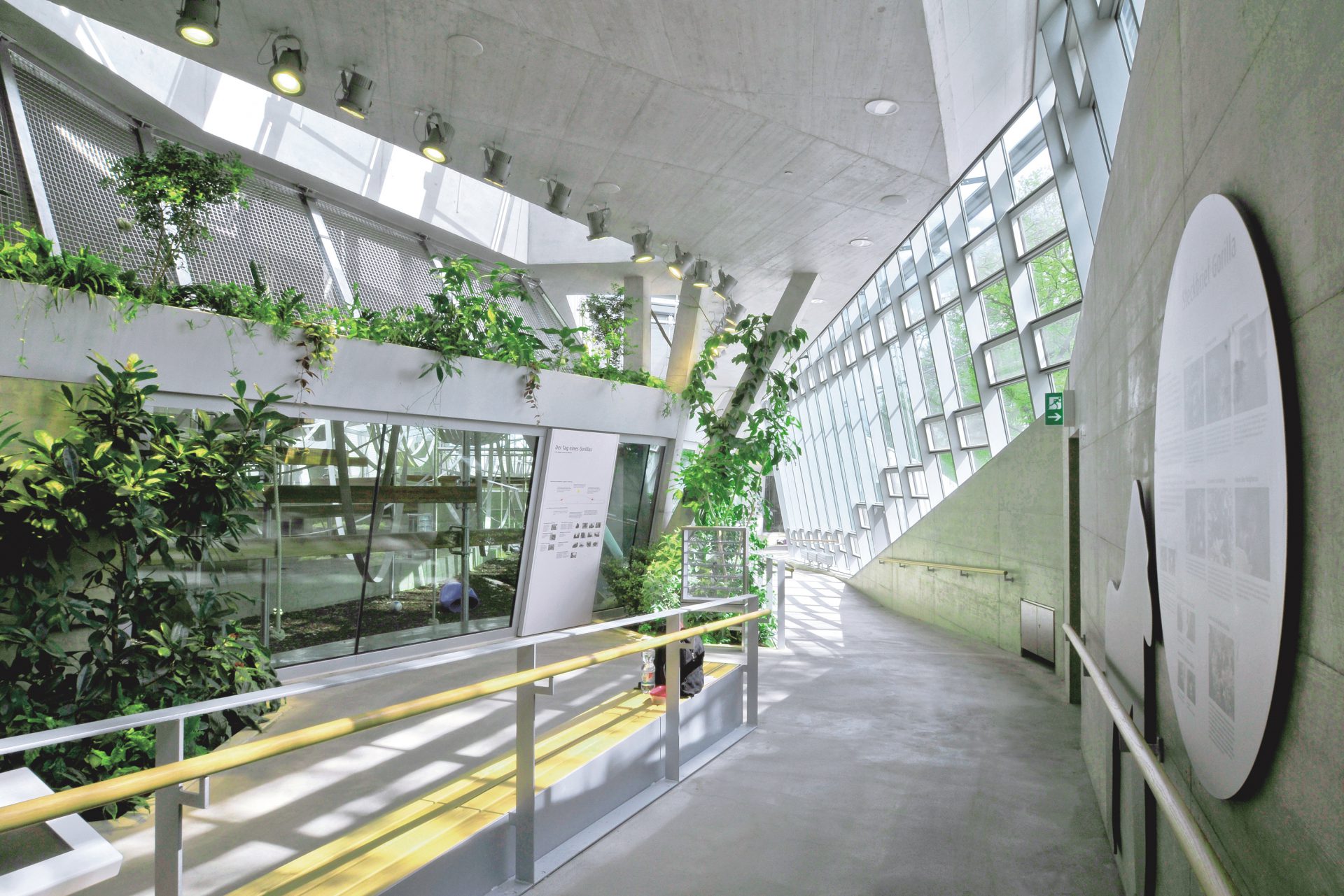 Menschenaffenhaus Wilhelma Stuttgart