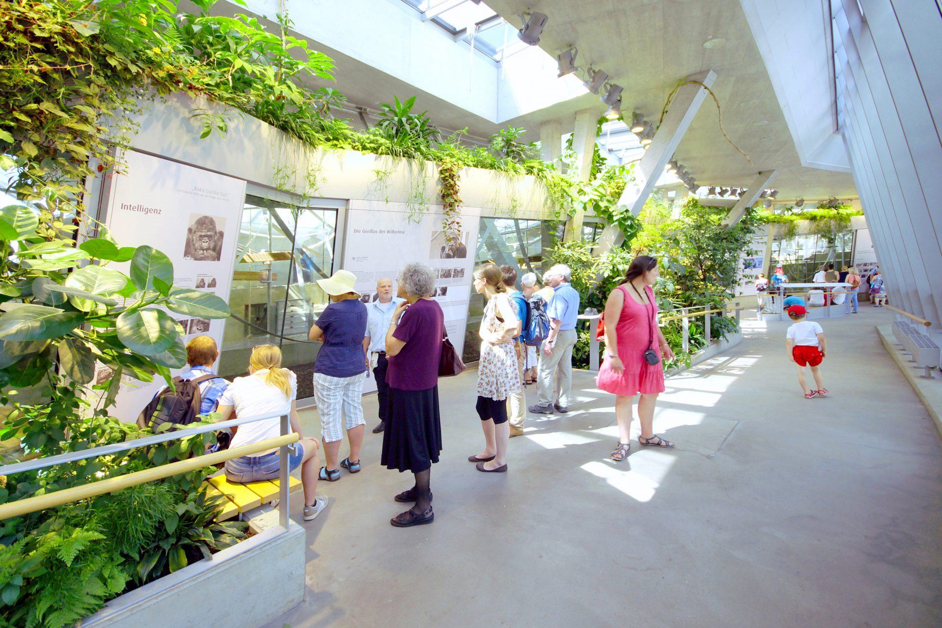 Menschenaffenhaus Wilhelma Stuttgart