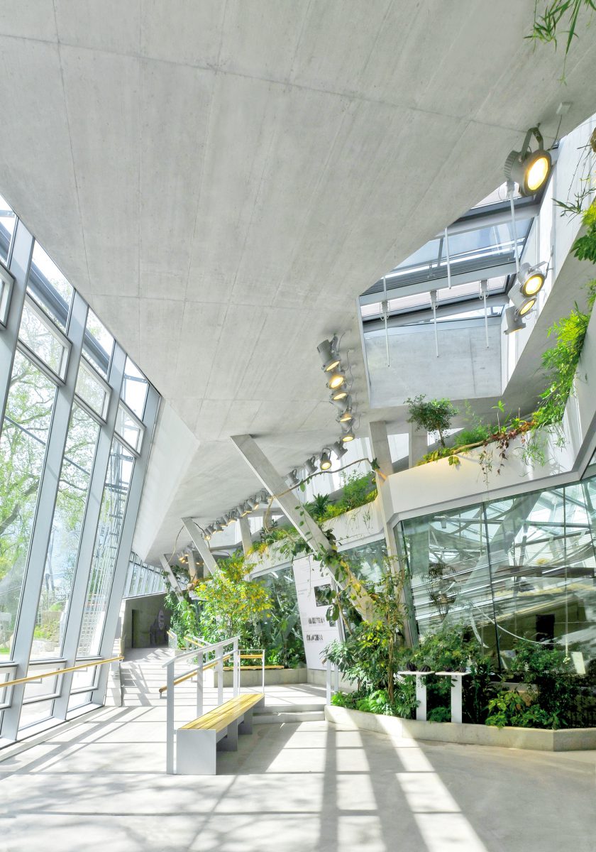 Menschenaffenhaus Wilhelma Stuttgart