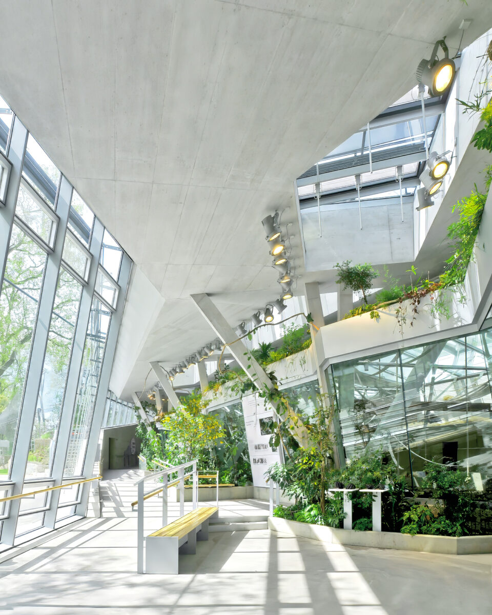 Menschenaffenhaus Wilhelma Stuttgart