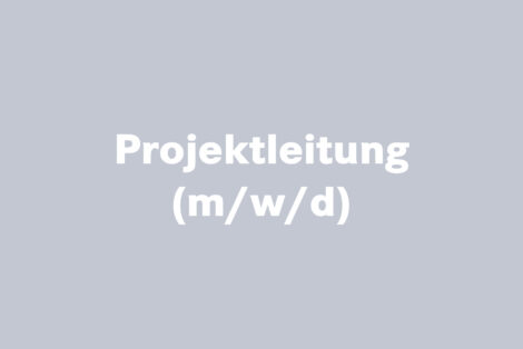 Projektleitung