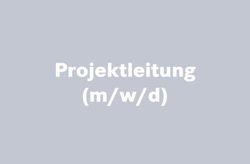 Erfahrene.r Projektleiter.in